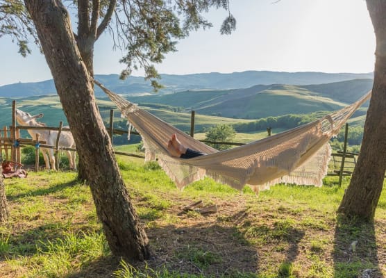 Agriturismo Fattoria Lischeto 1
