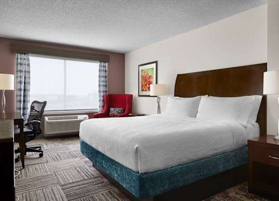 Hilton Garden Inn Denver South Park Meadows Area 1