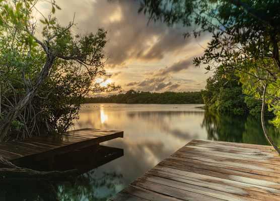Yaxchen Tulum Cabañas & Cenote 1