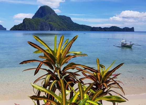 Golden Monkey Beach Hotel 1