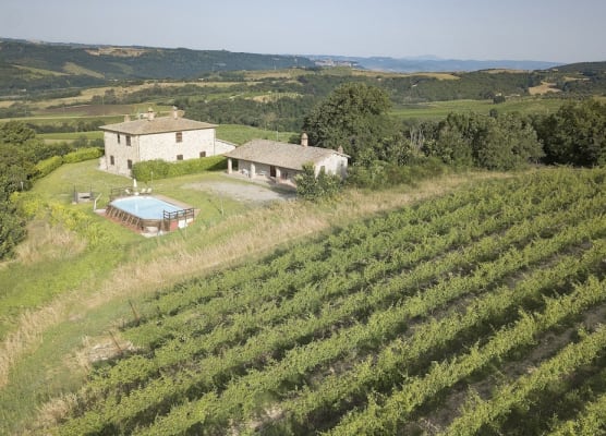 Tenuta Di Corbara 1
