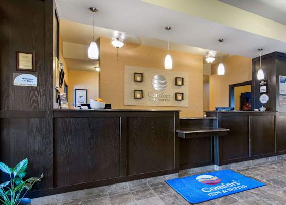 Comfort Inn & Suites 1