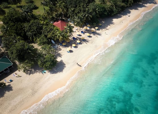 Mount Cinnamon Beach & Wellness Resort 1