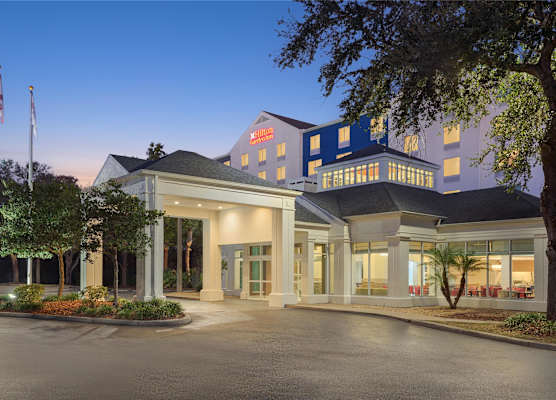 Hilton Garden Inn Tampa North 1