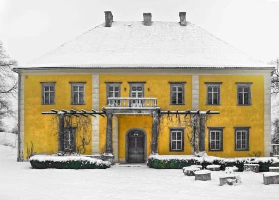 Pałac Lasów 1