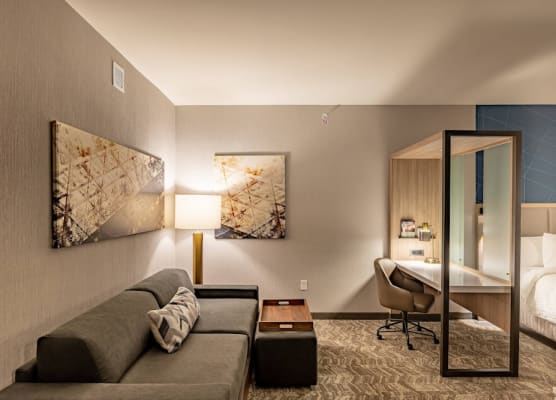 SpringHill Suites by Marriott Dallas McKinney 1