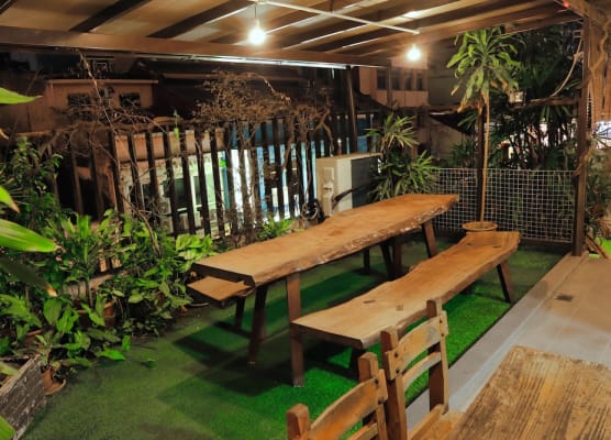 Rain Forest Hotel 1