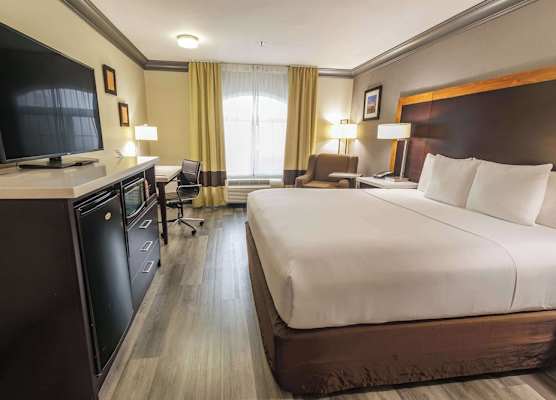Comfort Inn & Suites Near Universal - N Hollywood - Burbank 1