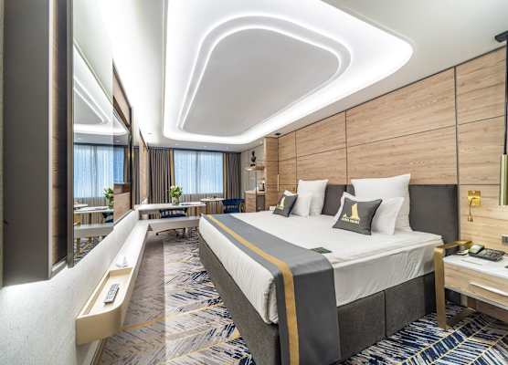Altinel Ankara Hotel & Convention Center 1
