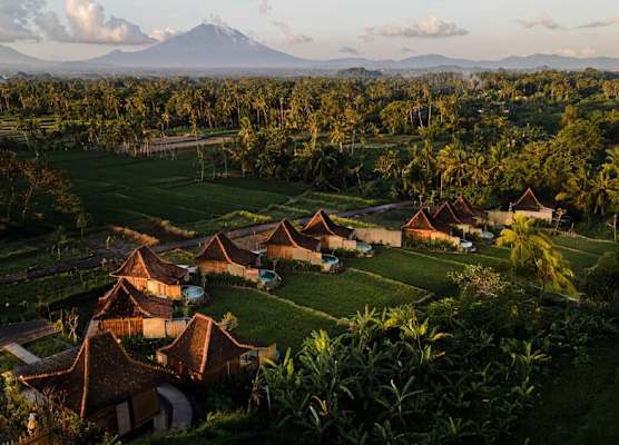 DITUJU Ubud by GenuineHost 1