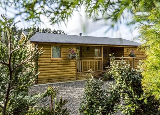 Fern Lodge - 2 Bedroom Log Cabin - Saint Florence - Tenby 1