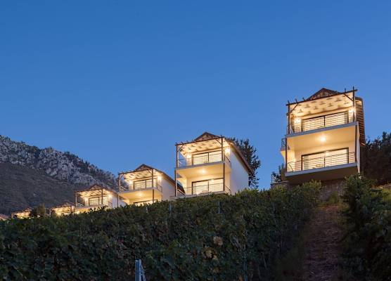 Gillham Vineyard Hotel 1