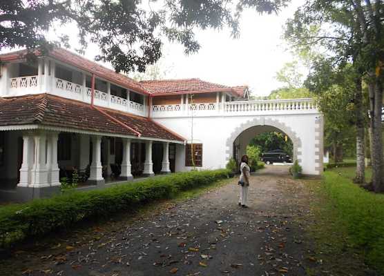 Shanith Guesthouse 1