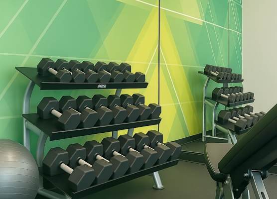 Holiday Inn & Suites MISSISSAUGA WEST - MEADOWVALE by IHG 1
