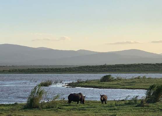 Shayamoya Tiger Fishing and Game Lodge 1