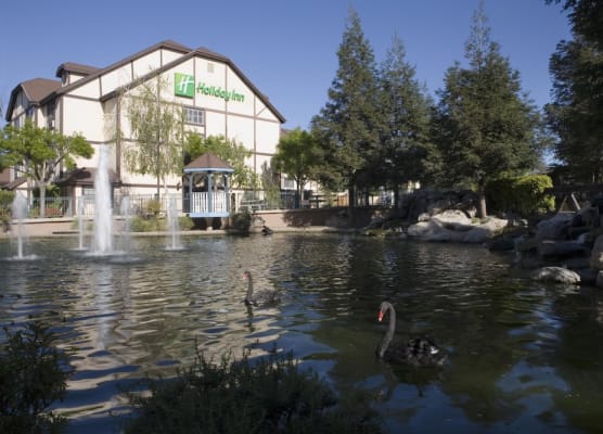 Holiday Inn SELMA-SWANCOURT by IHG 1
