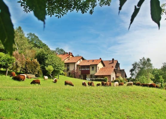 La Montaña Mágica Hotel Rural 1