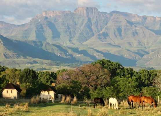 Ardmore Guest Farm 1