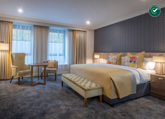 Castletroy Park Hotel Suites 1