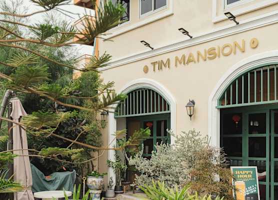 Tim Mansion 1