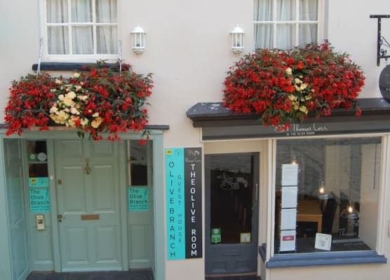 The Olive Branch 1