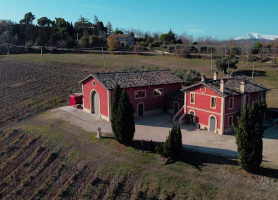 Cantina D'Erasmo 1