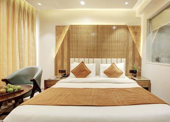 Hotel Krishna Plaza BY M S Hospitality 1