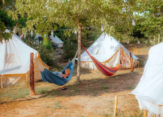 Star Surf Camps 1