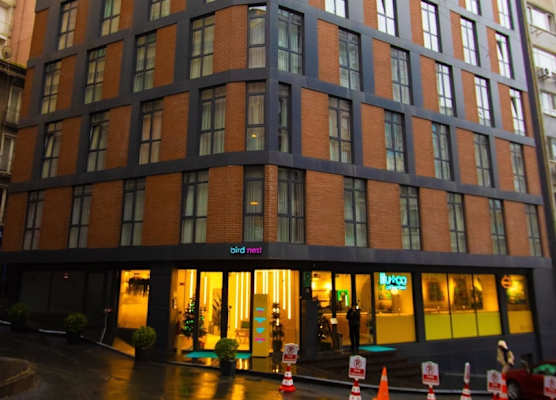 Bird Nest Suites 1