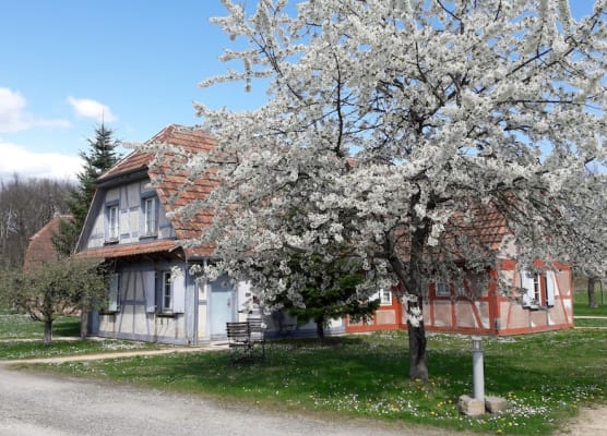 Les Loges de l'Ecomusée D'Alsace 1