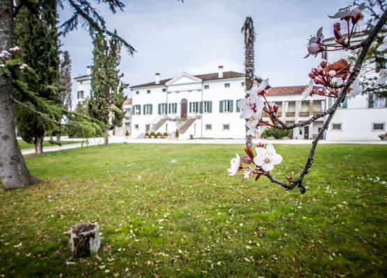 Villa Dragoni 1