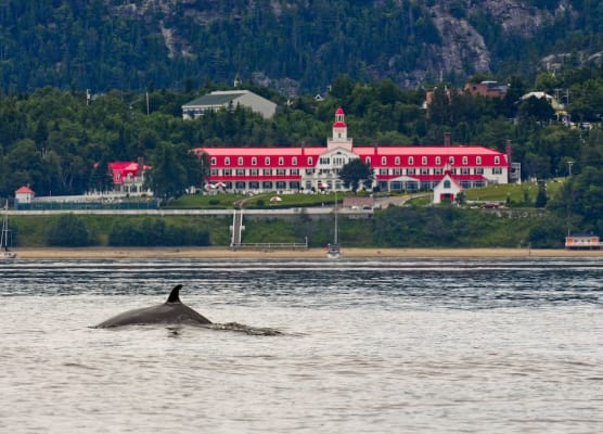 Hotel Tadoussac 1
