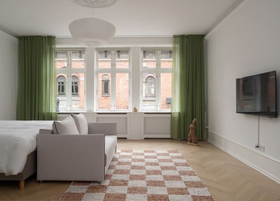 Luxurious apartment by Rådhuspladsen 1