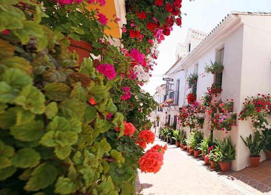 I AM La Posada Hotel and Apartment 1