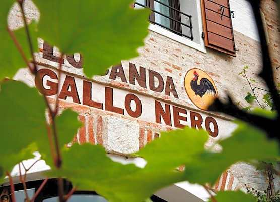 Al Gallo Nero 1