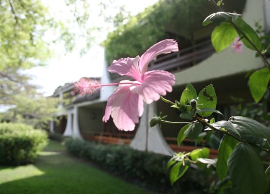 Hotel Club du Lac Tanganyika 1