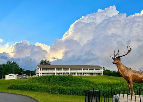 Blue Vista Motor Lodge 1