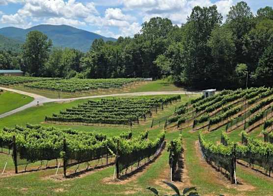 Paradise Hills, Winery Resort & Spa 1
