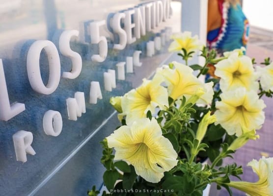 Hotel Los 5 Sentidos 1
