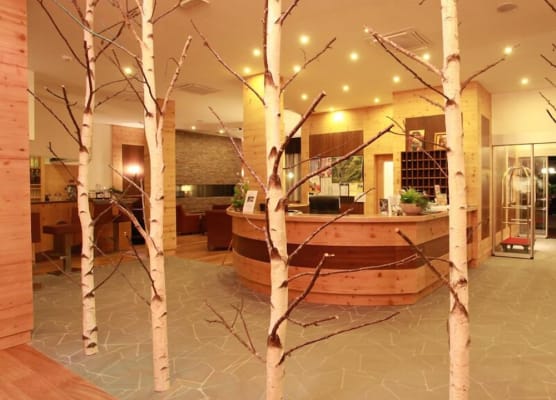 Parc Hotel Du Lac 1