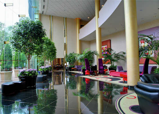 Hilton Washington Dulles Airport 1