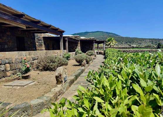 Abraxas Vigne di Pantelleria - Tenuta Bukkuram 1
