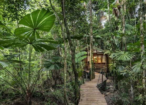 Daintree Wilderness Lodge 1