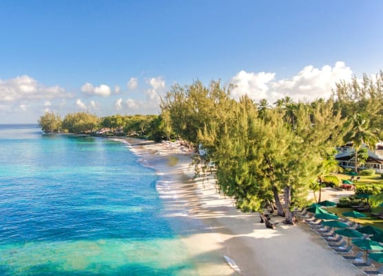 Coral Reef Club 1