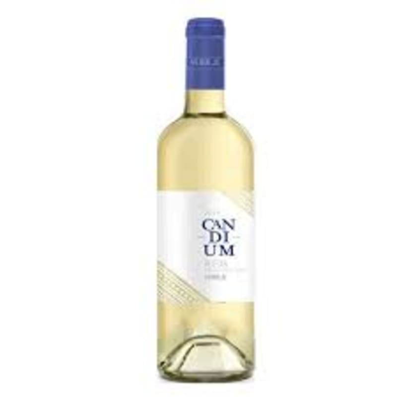 BOTELLA VERDEJO