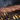 BACON 