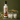 Licor de arroz