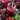 SMOOTHIE FRUTOS ROJOS