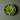 Edamame Bowl