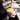 Café con Leche